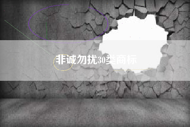 非诚勿扰30类商标