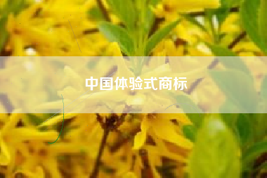 中国体验式商标