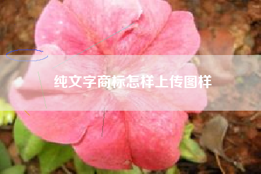 纯文字商标怎样上传图样