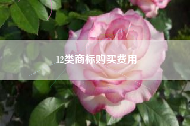 12类商标购买费用