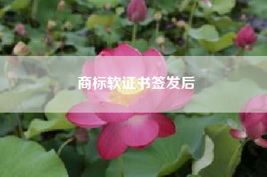 商标软证书签发后
