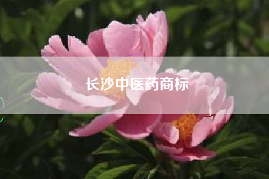 长沙中医药商标