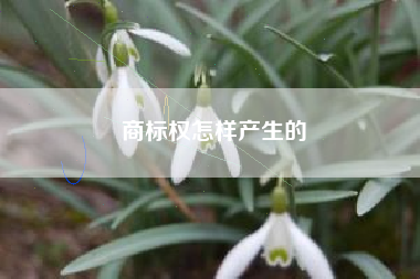 商标权怎样产生的