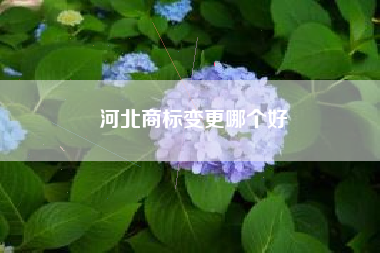 河北商标变更哪个好