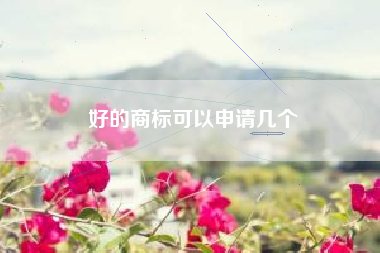 好的商标可以申请几个