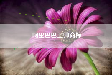 阿里巴巴王帅商标