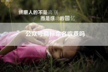 公众号商标命名收费吗