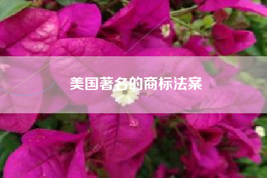 美国著名的商标法案