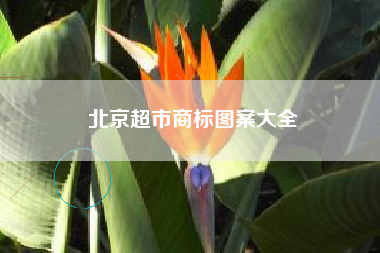 北京超市商标图案大全