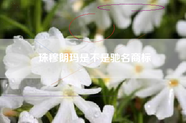 珠穆朗玛是不是驰名商标