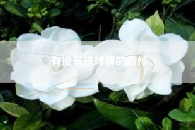 有没有铁球牌的商标