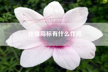 快播商标有什么作用