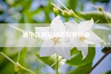 渝中区商标服务收费标准