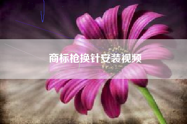 商标枪换针安装视频