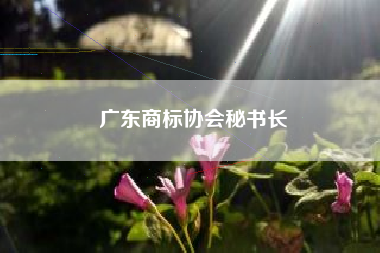 广东商标协会秘书长