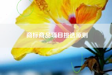 商标商品项目挑选原则