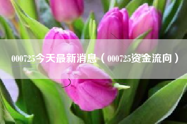000725今天最新消息（000725资金流向）