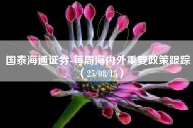 国泰海通证券-每周海内外重要政策跟踪（25/08/15）
