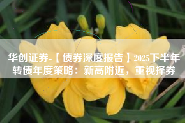 华创证券-【债券深度报告】2025下半年转债年度策略：新高附近，重视择券