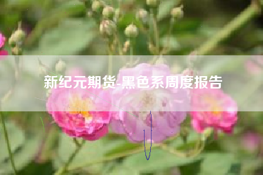 新纪元期货-黑色系周度报告
