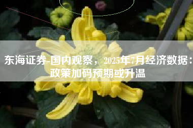 东海证券-国内观察，2025年7月经济数据：政策加码预期或升温