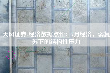天风证券-经济数据点评：7月经济，弱复苏下的结构性压力