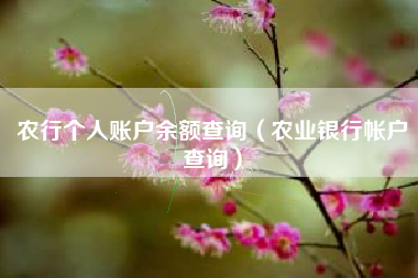 农行个人账户余额查询（农业银行帐户查询）