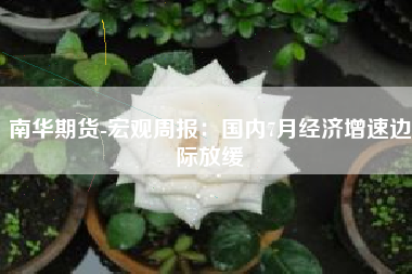 南华期货-宏观周报：国内7月经济增速边际放缓