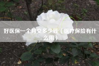 好医保一个月交多少钱（医疗保险有什么用）