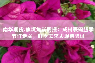 南华期货-焦煤焦炭周报：成材表需超季节性走弱，旺季需求表现待验证