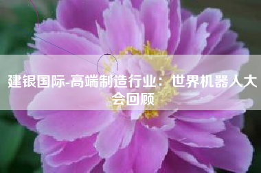 建银国际-高端制造行业：世界机器人大会回顾