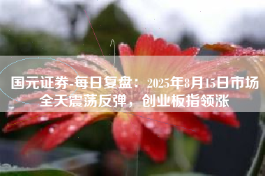 国元证券-每日复盘：2025年8月15日市场全天震荡反弹，创业板指领涨