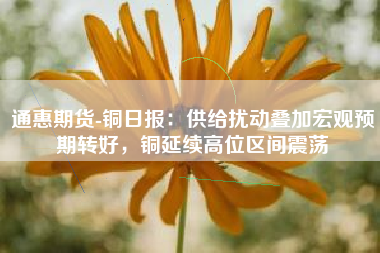 通惠期货-铜日报：供给扰动叠加宏观预期转好，铜延续高位区间震荡