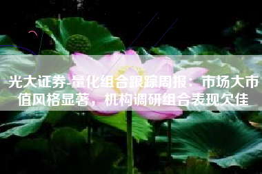 光大证券-量化组合跟踪周报：市场大市值风格显著，机构调研组合表现欠佳