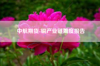 中航期货-铜产业链周度报告
