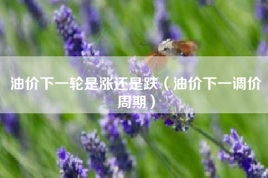 油价下一轮是涨还是跌（油价下一调价周期）