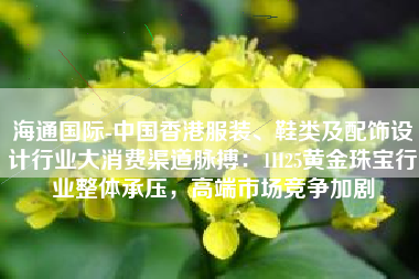 海通国际-中国香港服装、鞋类及配饰设计行业大消费渠道脉搏：1H25黄金珠宝行业整体承压，高端市场竞争加剧