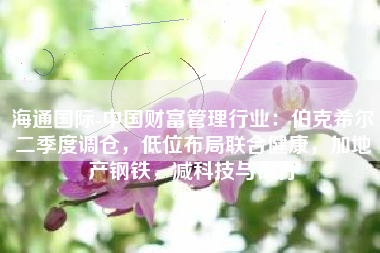 海通国际-中国财富管理行业：伯克希尔二季度调仓，低位布局联合健康，加地产钢铁，减科技与银行