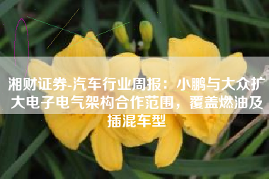 湘财证券-汽车行业周报：小鹏与大众扩大电子电气架构合作范围，覆盖燃油及插混车型