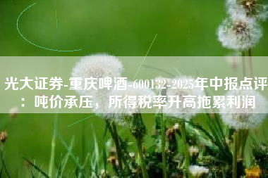 光大证券-重庆啤酒-600132-2025年中报点评：吨价承压，所得税率升高拖累利润