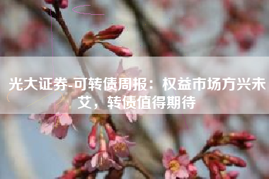 光大证券-可转债周报：权益市场方兴未艾，转债值得期待