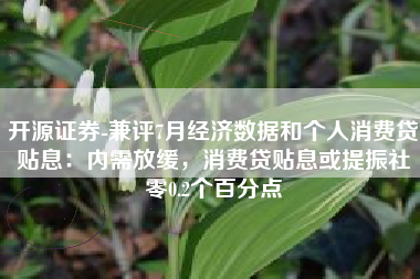 开源证券-兼评7月经济数据和个人消费贷贴息：内需放缓，消费贷贴息或提振社零0.2个百分点