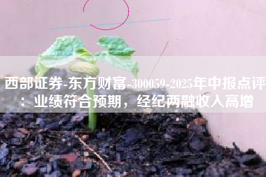 西部证券-东方财富-300059-2025年中报点评：业绩符合预期，经纪两融收入高增