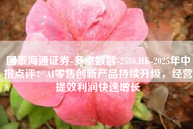 国泰海通证券-多点数智-2586.HK-2025年中报点评：AI零售创新产品持续升级，经营提效利润快速增长