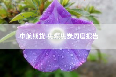中航期货-焦煤焦炭周度报告