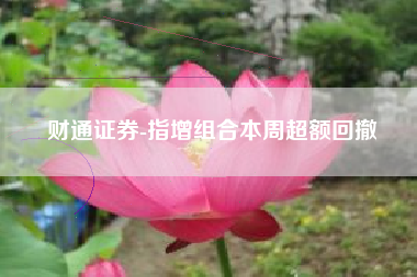财通证券-指增组合本周超额回撤