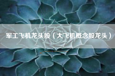 军工飞机龙头股（大飞机概念股龙头）