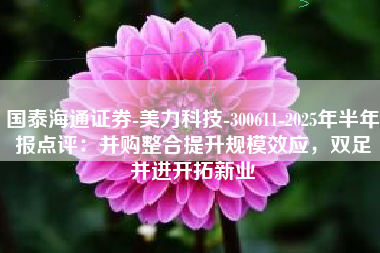 国泰海通证券-美力科技-300611-2025年半年报点评：并购整合提升规模效应，双足并进开拓新业