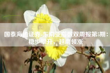 国泰海通证券-东南亚指数双周报第5期：稳步攀升，越南领涨