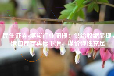 民生证券-煤炭行业周报：供给收缩显现，港口库存再度下滑，煤价弹性充足